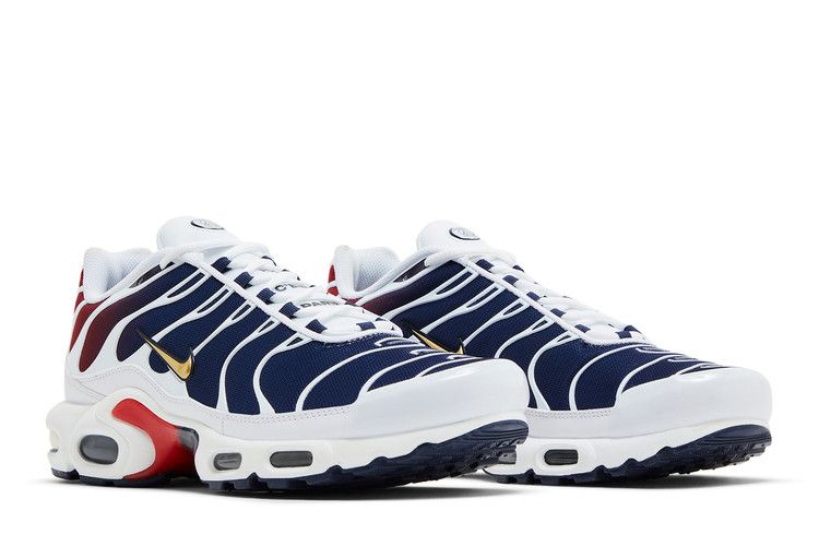 Nike Air Max Plus PSG