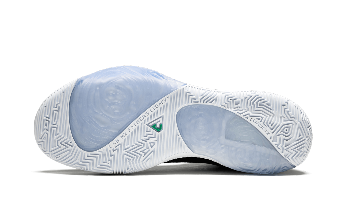 Zoom Freak 1