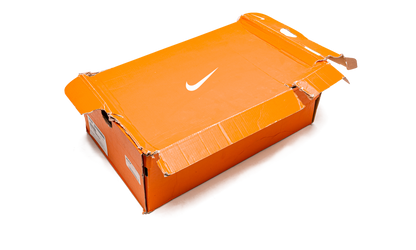 Lebron 9 Low "Arnold Palmer"