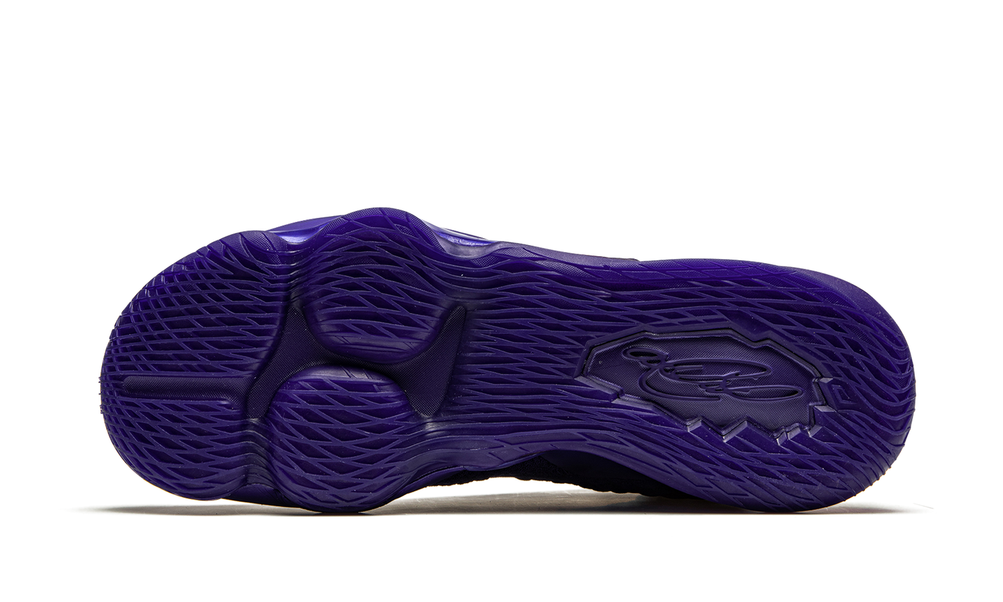 Lebron 17 "Bron 2K"
