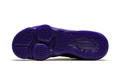 Lebron 17 "Bron 2K"