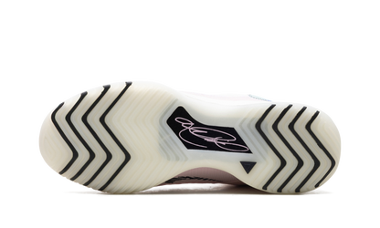 Zoom LeBron NXXT Genisus "Pink Sail"