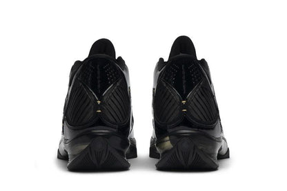 Jordan 2009 S23