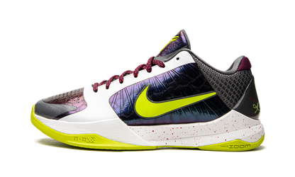 Kobe 5 Protro "Chaos"