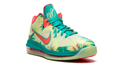 LeBron 9 Low "LeBronald Palmer"