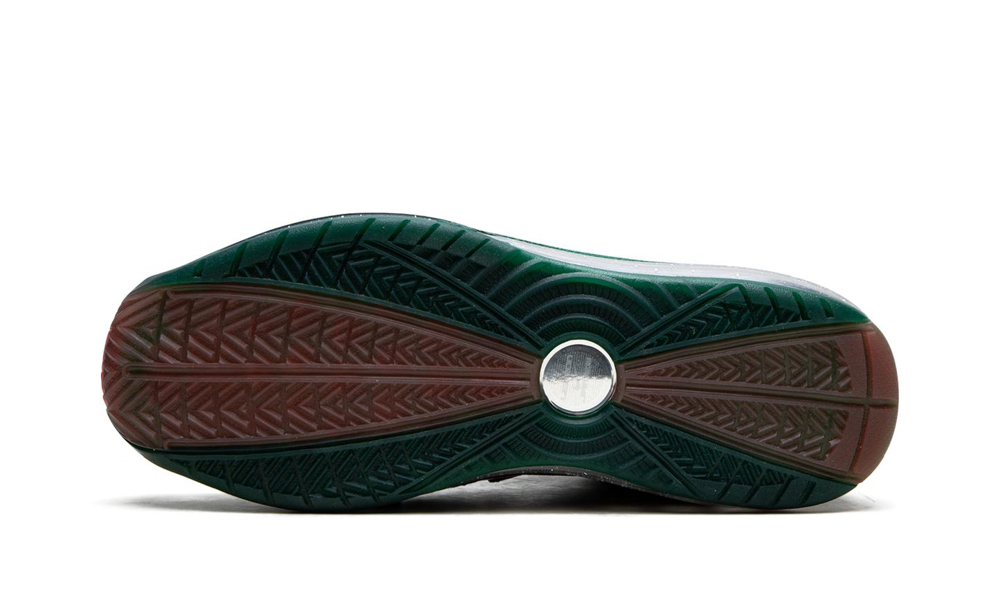 LeBron 7 "FAMU"