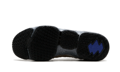 LeBron 15 "Mowabb"