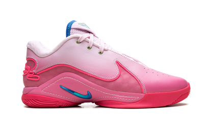 LeBron 22 "I Promise"