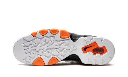 Air Max2 CB '94 "Phoenix Suns"