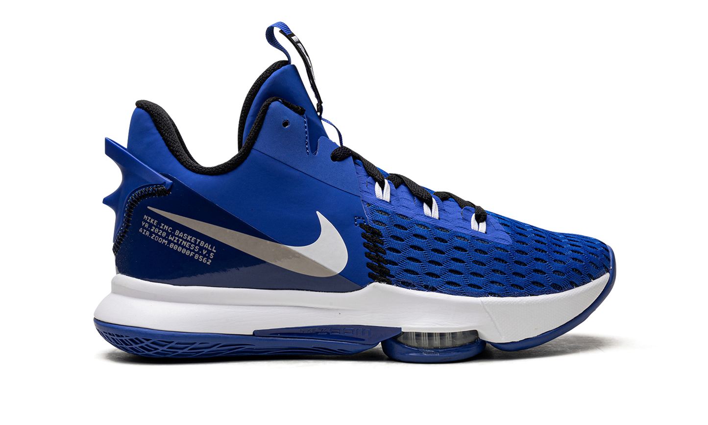 LeBron Witness V