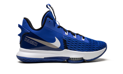 LeBron Witness V