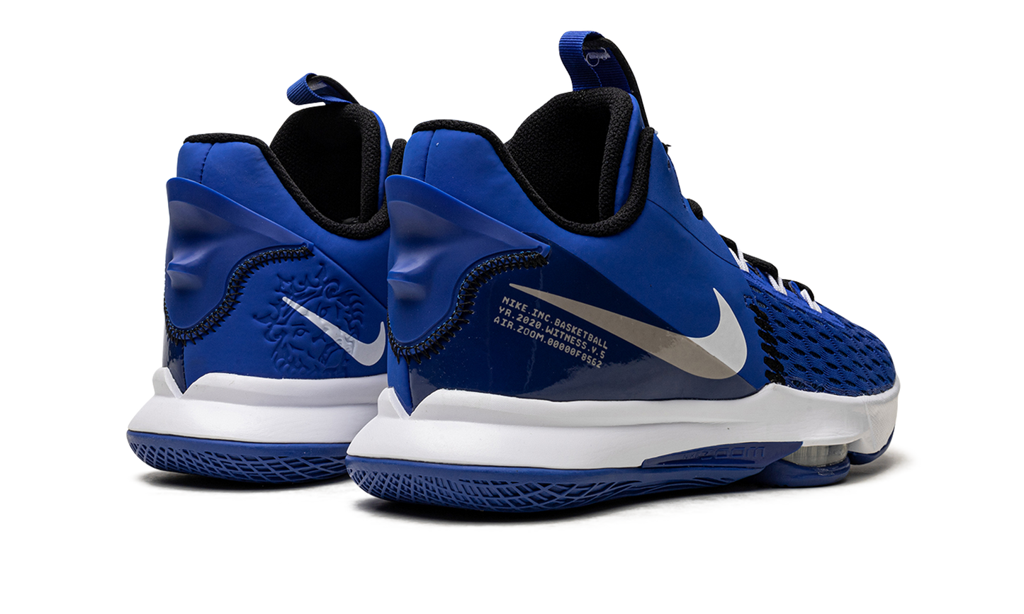 LeBron Witness V