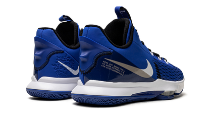 LeBron Witness V