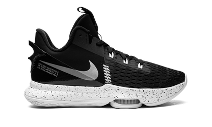LeBron Witness V
