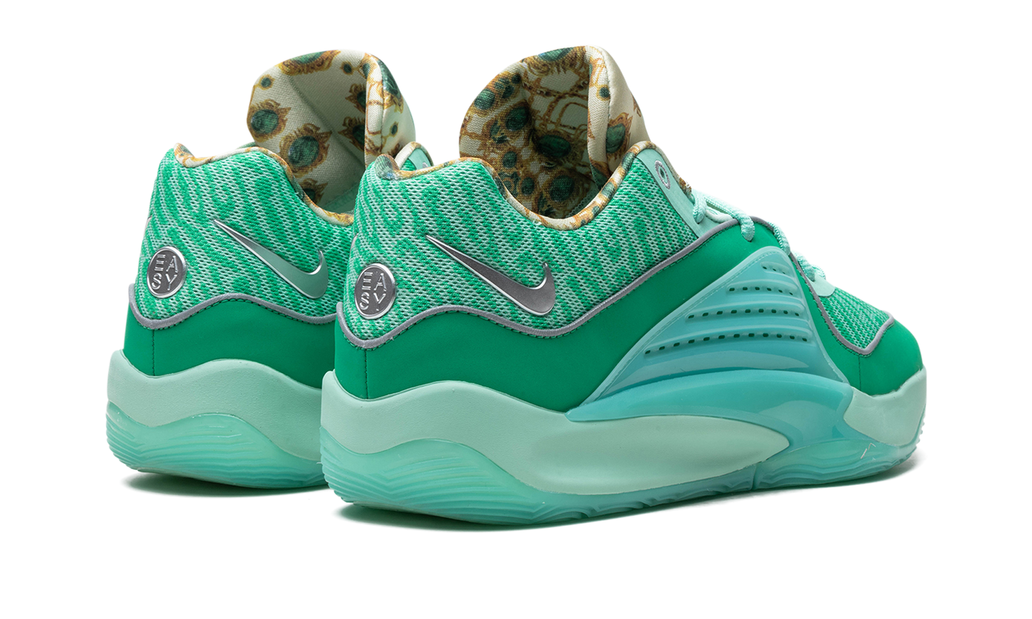 KD 16 "Wanda"