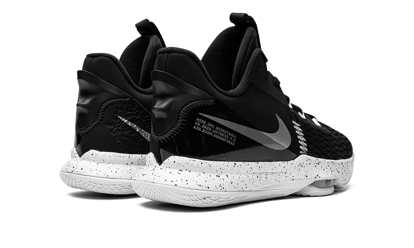 LeBron Witness V