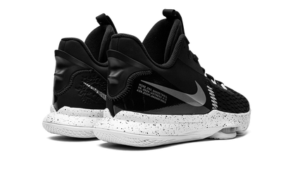 LeBron Witness V
