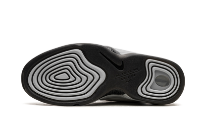 AIR PENNY 2 WMNS "Rosewood"