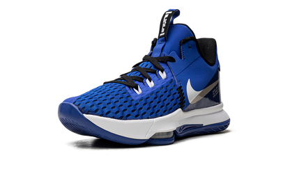 LeBron Witness V