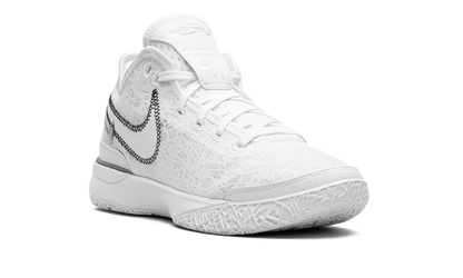 Zoom Lebron NXXT Gen "White / Metallic Silver"