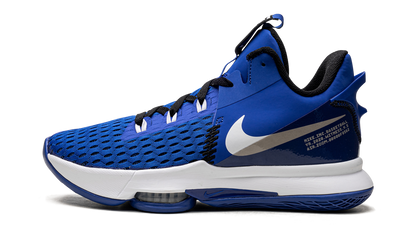 LeBron Witness V