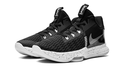 LeBron Witness V
