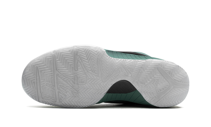 Zoom Kobe 4 Protro "Bicoastal"