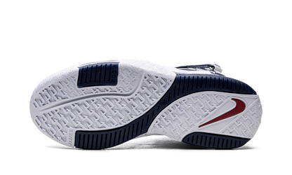 LeBron Zoom 2 "USA"