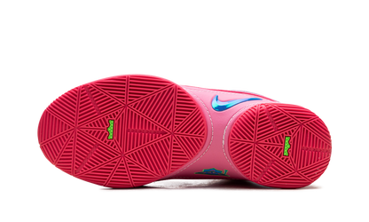 LeBron 22 "I Promise"