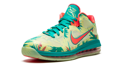 LeBron 9 Low "LeBronald Palmer"