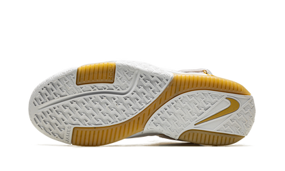 LeBron 2 "Maccabi Tel Aviv"