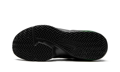 LeBron Witness VI
